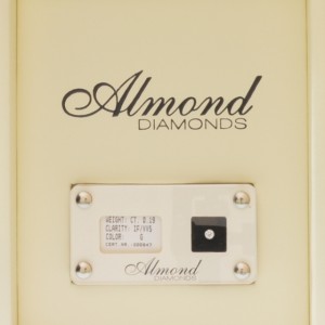 Almond 019