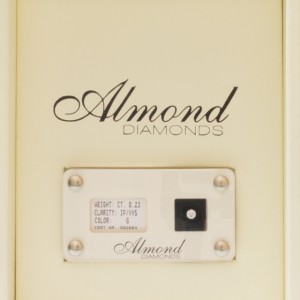 Almond 023